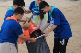 บ้านปู จำกัด (มหาชน)