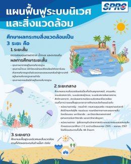 สตาร์ ปิโตรเลียม รีไฟน์นิ่ง จำกัด (มหาชน)