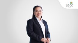 บริษัท ผลิตไฟฟ้า จำกัด (มหาชน)