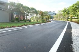 ดาว ประเทศไทย