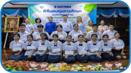 บีแอลซีพี เพาเวอร์ จำกัด