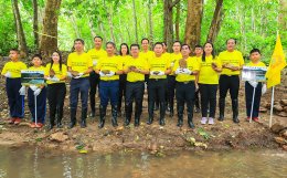 เอสซีจี เคมิคอลส์ จำกัด (มหาชน)