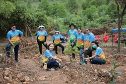 บ้านปู เพาเวอร์ จำกัด (มหาชน)