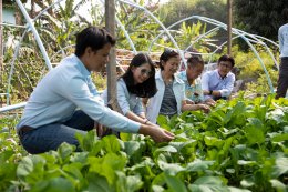 บ้านปู เพาเวอร์ จำกัด (มหาชน)