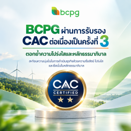 บริษัท บีซีพีจี จำกัด (มหาชน)