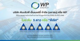 บริษัท ดับบลิวพี เอ็นเนอร์ยี่ จำกัด (มหาชน)
