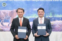 บี.กริม เพาเวอร์ จำกัด (มหาชน)