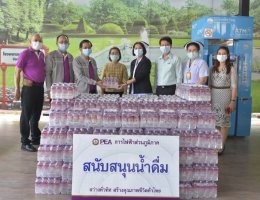 การไฟฟ้าส่วนภูมิภาค