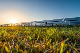 เอสพีซีจี จำกัด (มหาชน)