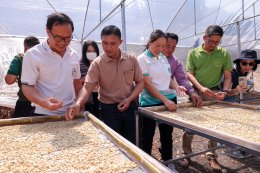 ปตท. น้ำมันและการค้าปลีก จำกัด (มหาชน)