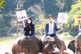 การไฟฟ้าฝ่ายผลิตแห่งประเทศไทย