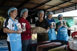 บริษัท กัลฟ์ ดีเวลลอปเมนท์ จำกัด (มหาชน)