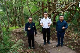 บริษัท ผลิตไฟฟ้า จำกัด (มหาชน)