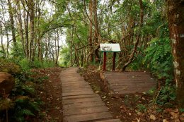 บริษัท ผลิตไฟฟ้า จำกัด (มหาชน)