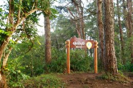 บริษัท ผลิตไฟฟ้า จำกัด (มหาชน)