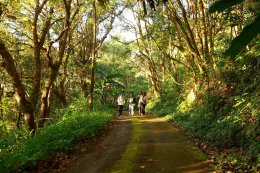 บริษัท ผลิตไฟฟ้า จำกัด (มหาชน)