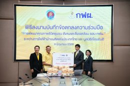การไฟฟ้าฝ่ายผลิตแห่งประเทศไทย