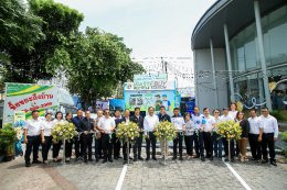 บริษัท พีทีที โกลบอล เคมิคอล จำกัด (มหาชน)