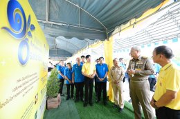 การไฟฟ้าฝ่ายผลิตแห่งประเทศไทย