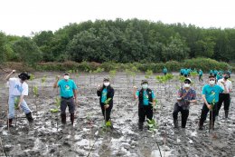 การไฟฟ้าฝ่ายผลิตแห่งประเทศไทย