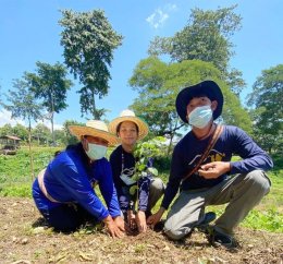 การไฟฟ้าฝ่ายผลิตแห่งประเทศไทย
