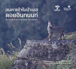 ผลิตไฟฟ้า จำกัด (มหาชน)