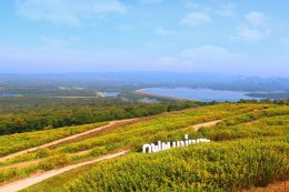 การไฟฟ้าฝ่ายผลิตแห่งประเทศไทย