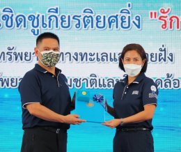 ดาว ประเทศไทย