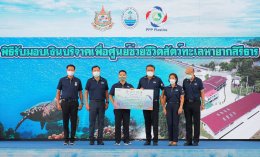 ดาว ประเทศไทย