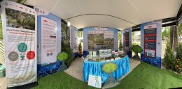 ดาว ประเทศไทย