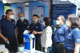 ดาว ประเทศไทย