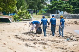 ดาว ประเทศไทย