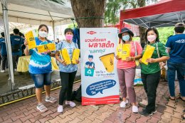 ดาว ประเทศไทย