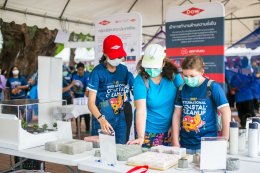 ดาว ประเทศไทย