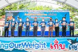 ดาว ประเทศไทย