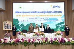 การไฟฟ้าฝ่ายผลิตแห่งประเทศไทย