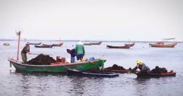 บีแอลซีพี เพาเวอร์ จำกัด