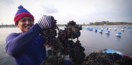 บีแอลซีพี เพาเวอร์ จำกัด