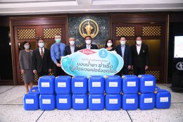 ดาว ประเทศไทย