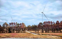 บริษัท ผลิตไฟฟ้า จำกัด (มหาชน)