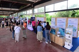 บ้านปู จำกัด (มหาชน)