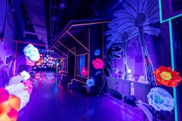 ผลิตไฟฟ้า จำกัด (มหาชน)