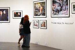 บ้านปู จำกัด (มหาชน)