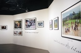 บ้านปู จำกัด (มหาชน)