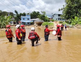 บ้านปู จำกัด (มหาชน)