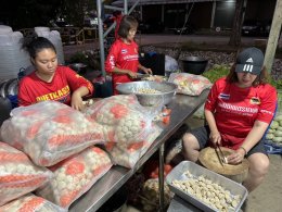 บ้านปู จำกัด (มหาชน)