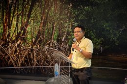 บีแอลซีพี เพาเวอร์ จำกัด