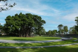 ปตท. จำกัด (มหาชน)