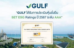 กัลฟ์ เอ็นเนอร์จี ดีเวลลอปเมนท์ จำกัด (มหาชน)