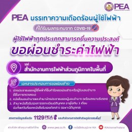  การไฟฟ้าส่วนภูมิภาค